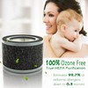 Flintar FLT4200 H13 True HEPA Replacement L Filter, Compatible with