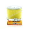Small Engine Service Kit Compatible with Honda GX340 and GX390 Models