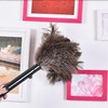 Casadores de Plumas, Plumas Reutilizables Marrones Mini Mini Duster con,
