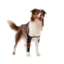 LISPOO Dog Recovery Sleeve Front Leg Prevent Dog from Licking Wound, Dog Leg Sleeve is Made of Yoga Fabric, Dog Dleeve to Prevent Licking is Breathable, Suitable for Summer, Cone Collar Alternative XS