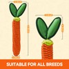 AUSCAT Carrot Dog Rope Toy, Durable Tug of War Toy