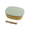 Sabu 412318 Kijitsu Wood Grain Single Tier Lunch Box, Mint,