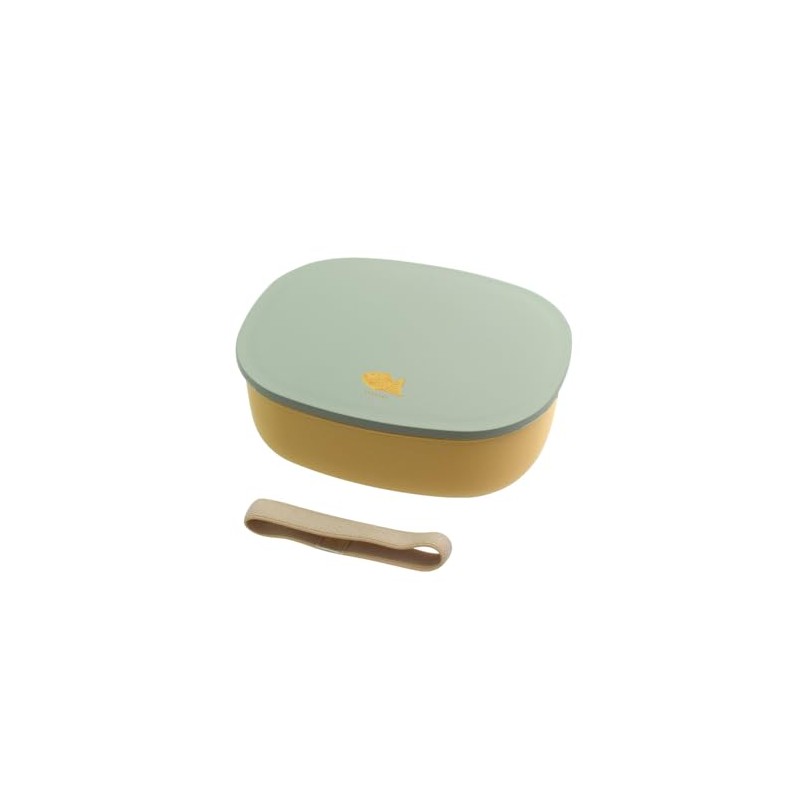 Sabu 412318 Kijitsu Wood Grain Single Tier Lunch Box, Mint,