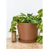 PlantVine Selva Planter 12-inch, Terra, Indoor/Outdoor