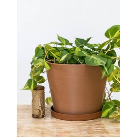 PlantVine Selva Planter 12-inch, Terra, Indoor/Outdoor