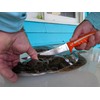 Dexter Outdoors Dextreme Single Edge 7" Max Flex Fillet Knife