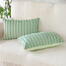 Soleebee Set of 2 Throw Pillow Covers Soft Cozy Velvet Pillowcase Faux Rabbit Fur Cover for Couch Sofa Bed Chair Home Decorative Pillows Cover (12x20 Inch, Light Green)