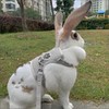 Rabbit Lead, Adjustable Rabbit Lead, Rabbit Accessories, 120 cm Rabbit