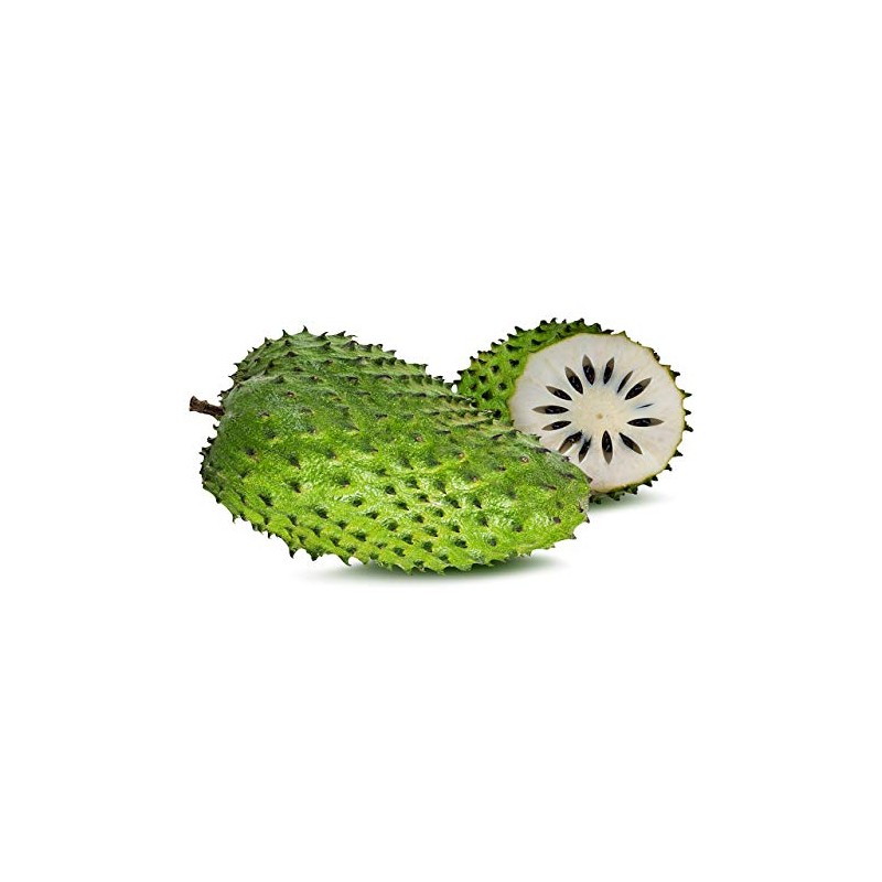 Brew La La Organic Green Tea - Natural Soursop Flavor
