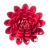 Vivaterra Ceramic Wall Flowers, 8"