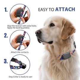 Rhea Rose Replacement Collar for Shock Collar, E-Collar Replacement Strap, Dinosaurs, Large