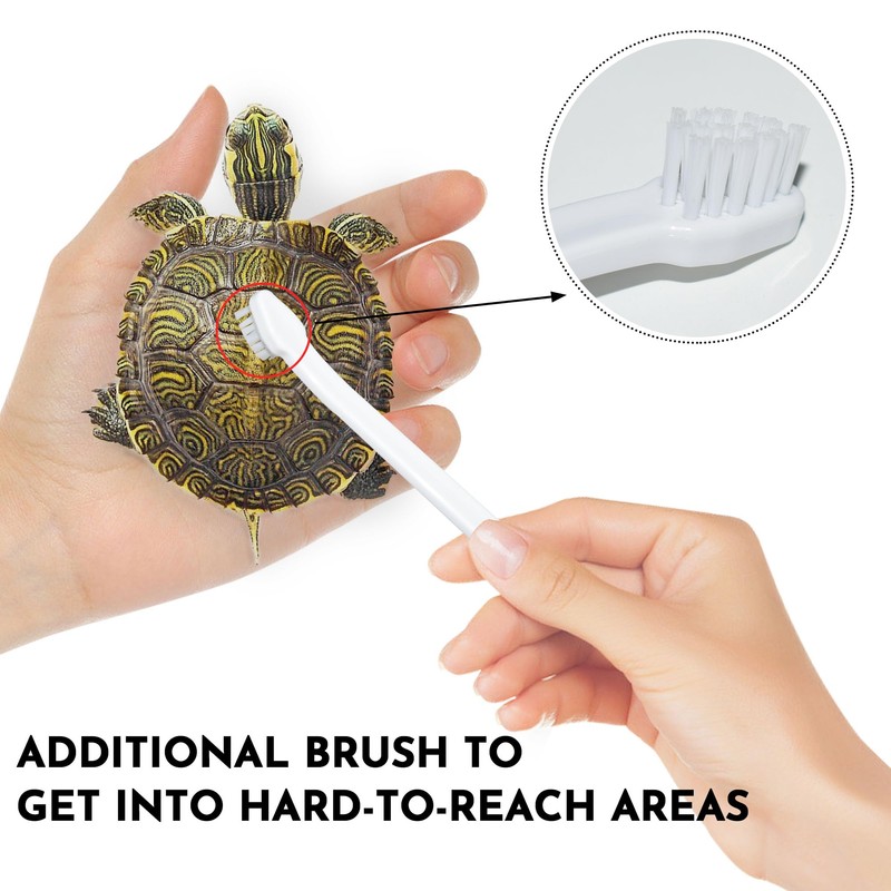 Turtle Brush with Suction Cup, Three High Suction Power Suction