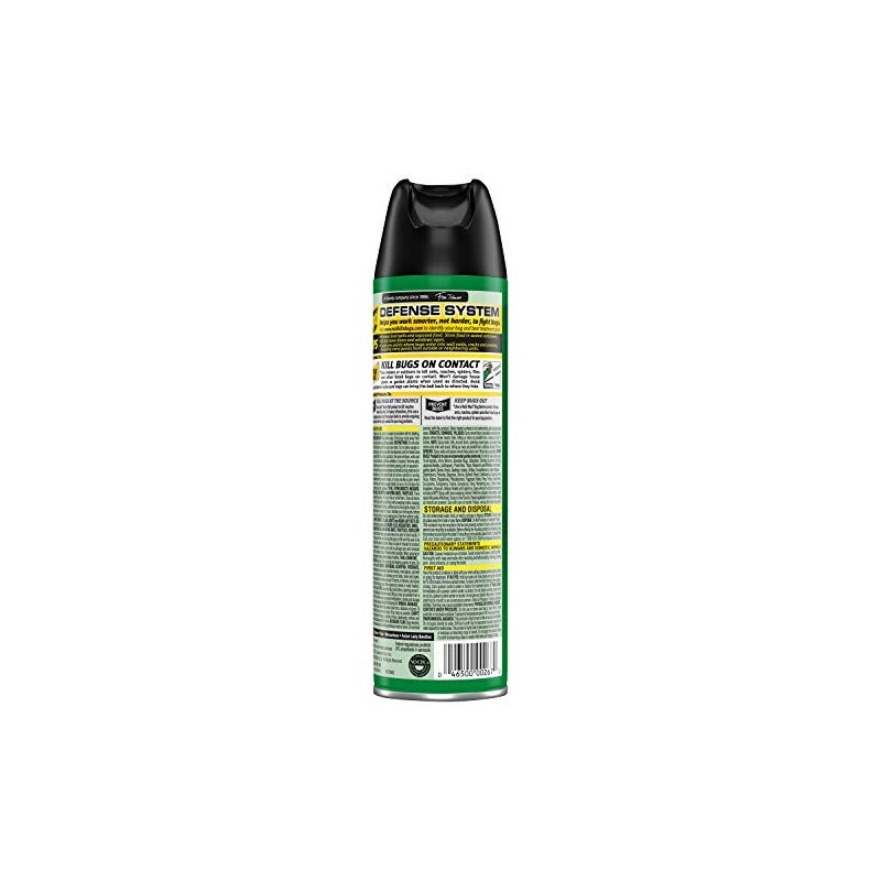 Raid House & Garden I, Indoor & Outdoor Insecticide Spray,