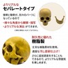 GlowBit Horror Halloween Ornament, Human Body Model, Candid Decoration, Skull,