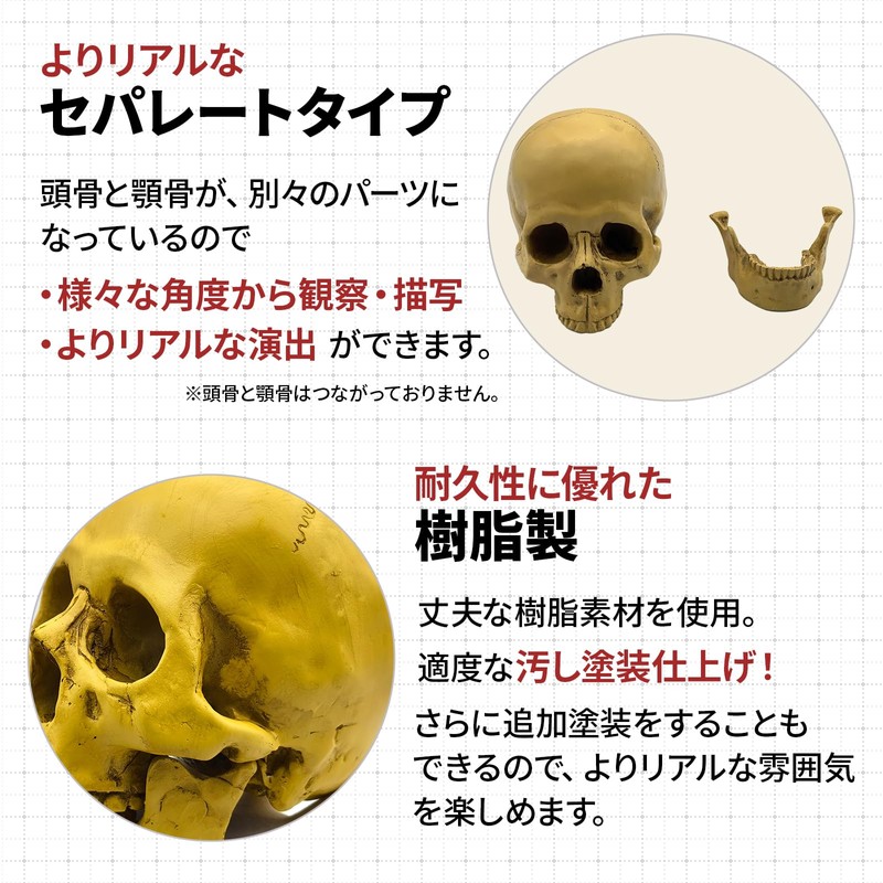 GlowBit Horror Halloween Ornament, Human Body Model, Candid Decoration, Skull,