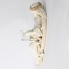BC Home Decor Angel Statue, Guardian Angel Candle Holder Tea