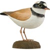 WILDLIFEGARDEN WG4449 DecoBird Plover - Hand Carved Decorative Wooden Bird