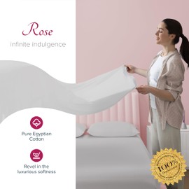 Carressa Linen 100% Egyptian Cotton Sheets Queen Size - 1200 Thread Count 4 PC Queen Sheet Set Egyptian Cotton, Sateen Luxury Sheets Queen Size, High Thread Count Sheets, 16" Deep Pocket - Light Grey