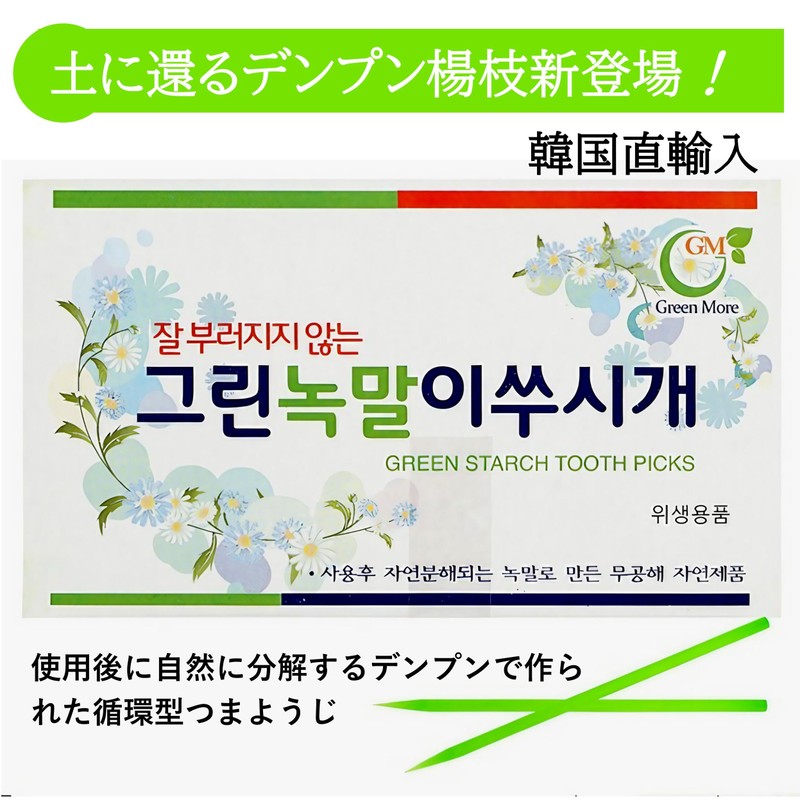 Rita Shokai Korean Toothpicks (Green) Approximately 500 Bottles Unscented Starch