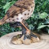 Vivid Arts Garden Birds (Song Thrush)
