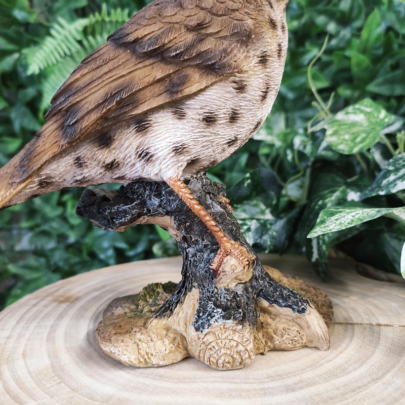 Vivid Arts Garden Birds (Song Thrush)