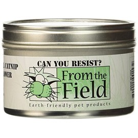 from The Field | Can You Resist Catnip Leaf & Flower | Fresh USA-Grown Premium Catnip in Resealable Tin Can | Natural Catnip for Cats & Kittens, Potent & Eco-Friendly | 1-Ounce