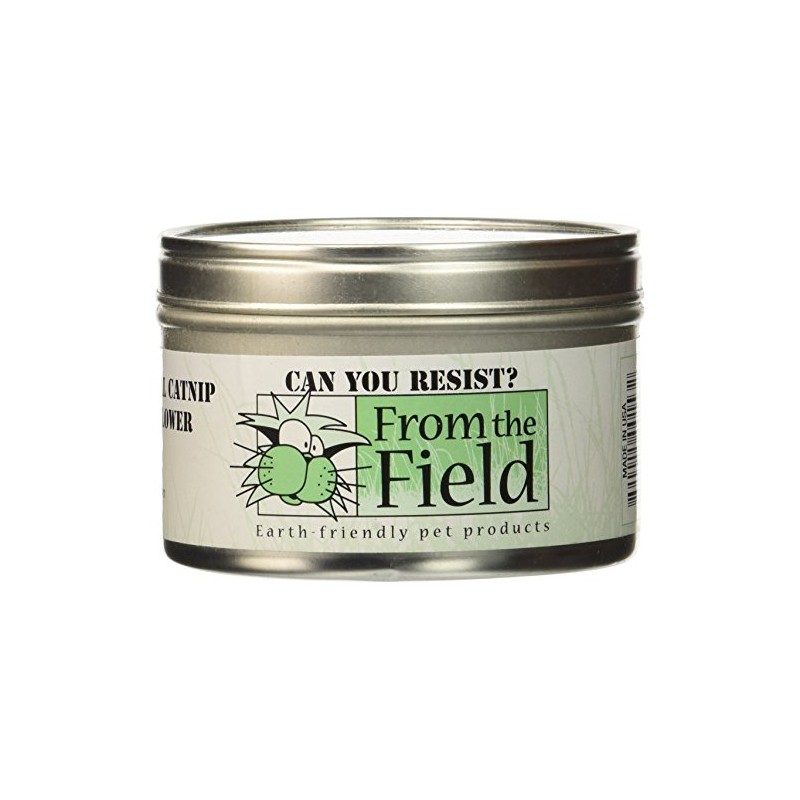 from The Field | Can You Resist Catnip Leaf &