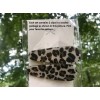 Alligator Set of 2 beautiful leopard hair clips - alligator-styl