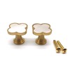 Kitchen Cabinet Knobs,2-Pack,Addlike Brass Resin Knobs Four Leaf Clover Shape