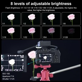 FOMITO Flexible LED Macro Ring Flash Light with 13 Color Filters, Digital Display, USB Cable, Carrying Case