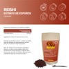 Reishi Spores Extract Powder The Cell Walls Are Gently Broken