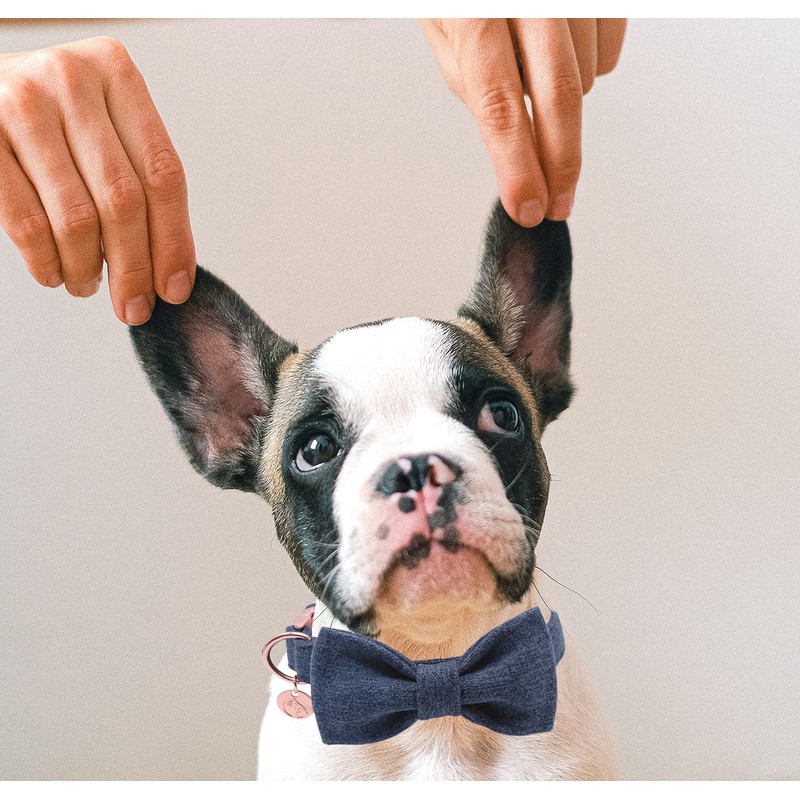 DOGWONG Cotton Dog Collar with Bow Deep Blue Pet Collar