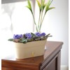 Santino Self Watering Window Box Planter Latina 15.6 Inch, Shade/Taupe,