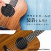 Seya International Sound Hole Cover, Guitar, Mute, Noise Cancellation, For