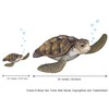 Create-A-Mural : Sea Turtle Wall Decal ~Realistic Undersea Animal for