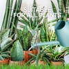 WhaleLife Indoor Watering Can for House Bonsai Plants (2.0L, Blue)