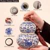 HOHCNA Blue and White Porcelain Airtight Tea Canister with Lid,