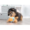Chuck It Pelota Suave Indoor, Colores Surtidos