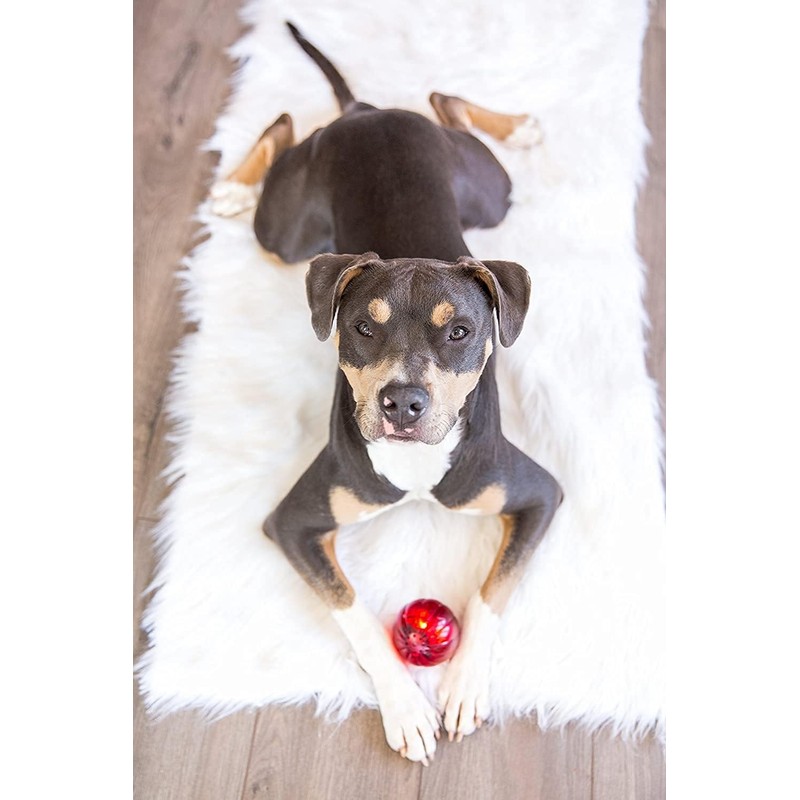 Pet Qwerks Blinky Babble Ball - Flashing Interactive Chew Dog