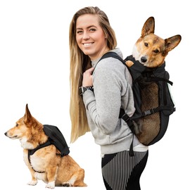 K9 Sport Sack Walk-On - Mochila transportadora para perros con arnés y almacenamiento (pequeño, negro antracita)