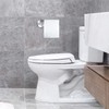 DGYB Suction Cup Toilet Paper Holder - No Drill Adhesive