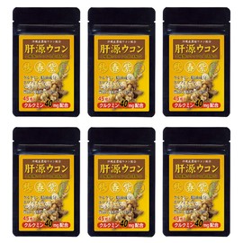 Dainichi Healthy Foods Liver Source Turmeric 45 Tablets x 6 Bags Spring Turmeric Autumn Turmeric Purple Turmeric Black Turmeric Compound Tablet-Type Supplement