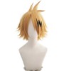 Heat Resistant Cosplay Wig, Second Castle, Includes Hair Accessory, Uenari