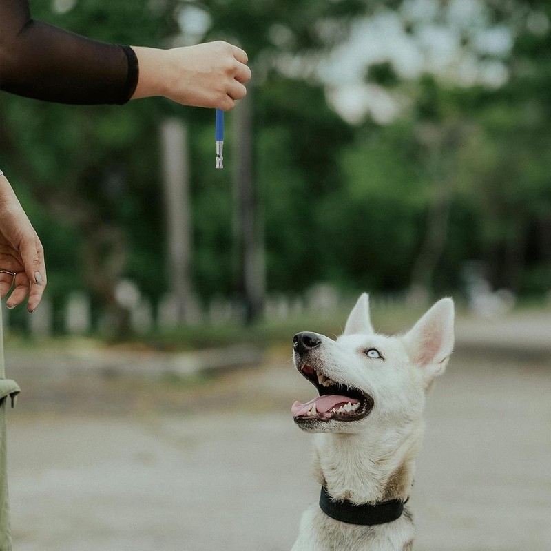 Dog Whistle, Dog Whistle to Stop Barking Neighbors Dog Adjustable