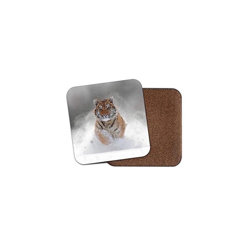 1 x Beautiful Tiger Drinks Coaster - Big Cat Lion