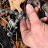 Crankbrothers Herramienta Multifunción M 17 Oro | herramientas multifuncionales para