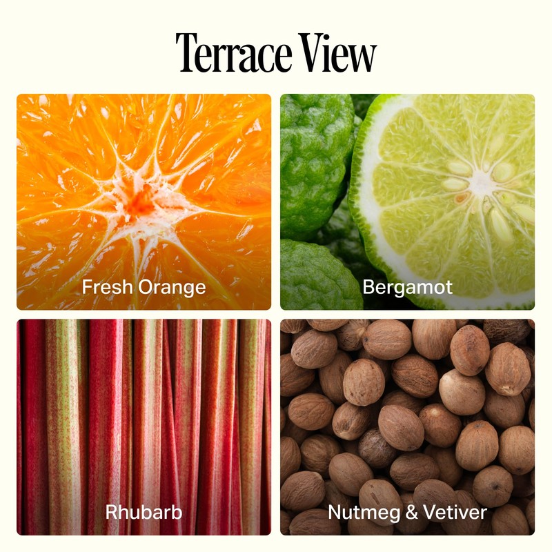 Preston Lane Luxury Kitchen Set – Hand Wash, Dish Soap