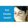 SMELLEZE Reusable Smoke Odor Remover Deodorizer: Rid Smell in 300