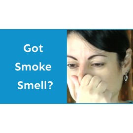 SMELLEZE Reusable Smoke Odor Remover Deodorizer: Rid Smell in 300 Sq. Ft.