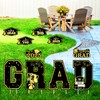 14Pcs Large Graduation Decorations 2025 Yard Signs, Class of 2025